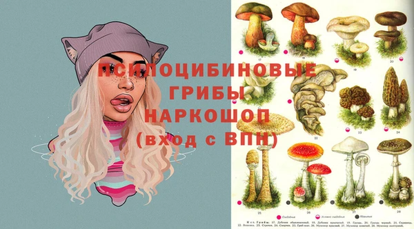 кристаллы Костерёво