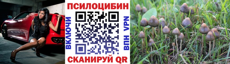 Купить закладки  Электроугли  Галлюциногенные грибы мухоморы 