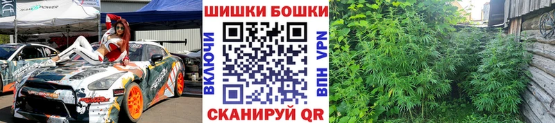 Купить закладки  Электроугли  Бошки Шишки Amnesia 